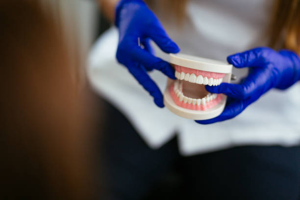 Best Dental Exams and Cleanings  in Hamilton, IN